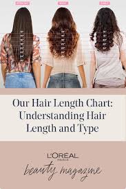 This way, when you get a haircut and say you want a certain number of inches cut, you'll have a better idea of what that will actually look like. Our Hair Length Chart Understanding Hair Length And Type Hair Length Chart Hair Lengths Chart Hair Chart