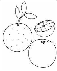 Citrus Coloring Sheet Oranges In 2020 Fruit Coloring Pages Coloring Pages Christmas Tree Pictures