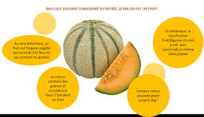 Le Melon Fruit Ou Legume La Reponse Les Bienfaits Sante