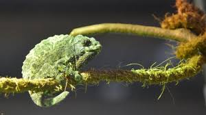 Zoo Zajac In Duisburg Ein Erlebnis Fur Die Ganze Familie Verpottet Zoo Tierhandlung Vogelfutter Kaufen