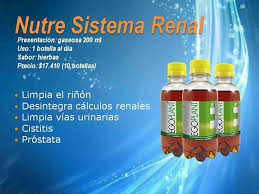 Resultado de imagen para ego plant