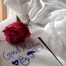 Good Morning Image For Lover Good Morning Roses Good Morning Flowers Morning Images
