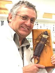 SA toxic algae: Respiratory issues, skin irritations reported in humans