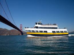 Image result for Blu Fiordo 1976 Fleet