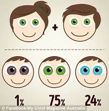 the eye colour combinations your baby could have based on