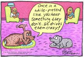 dog cartoons funny cartoons cartoon dog funny dogs