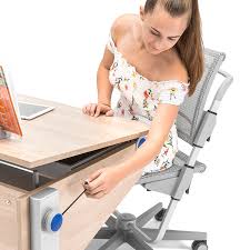 Der mitwachsende schreibtisch winner split seit jahren ist moll für perfektionismus und akribische detailverliebtheit bekannt. Winner Der Moll Kinderschreibtisch Mit Allem Was Ein Kind Braucht