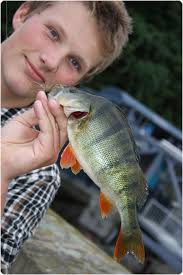 Mission Edersee 2010