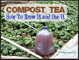 See full list on morningchores.com Compost Tea What It Is How To Make It And The Benefits