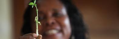 The Enhancement Process