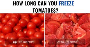 Can you freeze cherry tomatoes from the garden. Can You Freeze Tomatoes Here S How You Can Do It Right