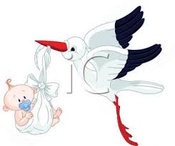 We did not find results for: 67 Storch Ideen Storch Baby Storch Basteln Storch Baby
