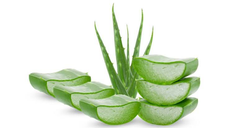 Aloe vera | CuídatePlus