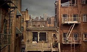 They rent a hotel room to fulfil their fetish. Backyard Ethics Rear Window Jonathan Rosenbaum