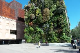 Floods in malaysia are regular natural disasters in malaysia which happen nearly every year especially during the monsoon season. Green Walls Could Buffer Flash Flooding In Cities Capitals Coalition