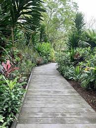 Foliage Garden Boardwalk At Foliage Garden You Can Find Aquatic Plants And Begonias Singapore Botanic Gardens Singapore Southern Beach