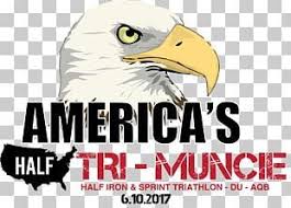 Birds Of Prey Logo Png Bald Eagle Logo Png Clipart Animals Bald Eagle Beak Bird Bird Of Prey Free Png Download In 2020 Eagle Logo Bald Eagle Eagle Art