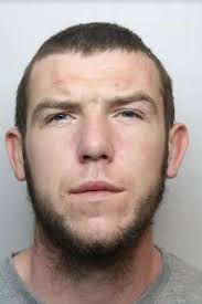 The frankly appalling excuses criminals in Wales have tried to use this  year