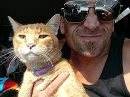 Lost cat Murdock in St. Regis, Montana, near Winks burger place