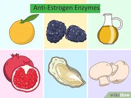 See full list on jillcarnahan.com 3 Ways To Lower Estrogen In Men Wikihow