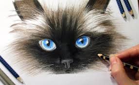 Drawing Cat S Face In Colored Pencil Jasmina Susak How To Draw A Cat Como Dibujar Un Gato Color Pencil Drawing Cat Face Drawing Cats Art Drawing
