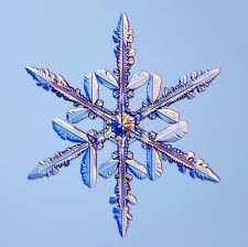 Snowflakes Under Microscope Snowflakes Real Snowflake Images Snow Crystal
