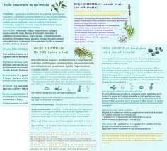 Epingle Sur Huiles Essentielles