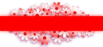 We did not find results for: Floral Pattern Png Transparent Banner Flower Red For Web Transparent Banner Png 971998 Vippng