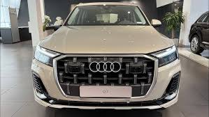Image result for Vicuna Beige 2023 Q7
