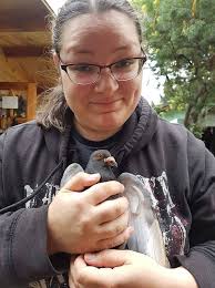 Taken at my workplace, poor Pigeon!