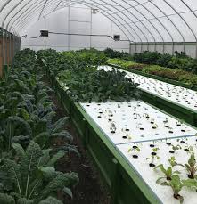 Fresh Harvest Farm Ohio The Aquaponic Farming Course