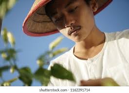 Happy Asian Farmer Hand Keeping Chili Stock Photo 1162291717