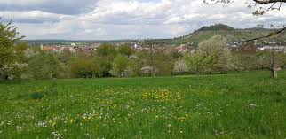 Hier in der kategorie haus und garten sind die aktuellen sonderangebote und prospekte ihrer liebsten einzelhändler in deutschland erhältlich, welche ihnen regelmäßig großartige preisnachlässe anbieten. Annes Haus Und Garten Regionale Produkte Annes Haus Und Garten