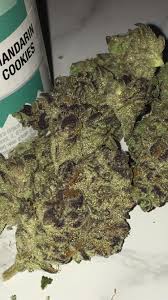 Platinum jack's cookies cannabis strain by alpinstash is a sativa leaning hybrid. Mandarin Cookies From Natures Grace R Iltrees