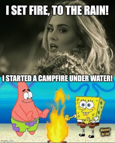 images?q=tbn:ANd9GcS34-M1RQdvV89ASmtMqm0ecX82dihFF4YCy-Tf9aAj_n_HO9DYsBB3p9dq&s=10