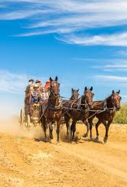 Experience A Family Road Trip To Outback Queensland Road Trip With Kids Best Beaches To Visit Australia Travel