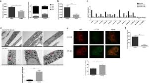 Kss associates was founded in 1992 and operates to service the requirements of a variety of clients in diverse industries on a worldwide basis. The Mitochondrial Carrier Citrin Plays A Role In Regulating Cellular Energy During Carcinogenesis Oncogene