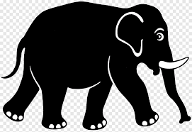 We did not find results for: Gajah Afrika Gajah Kalimantan Gajah Putih Gajah Mamalia Hewan Png Pngegg