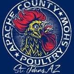 Apache County Poultry Show — Pima County 4-H...