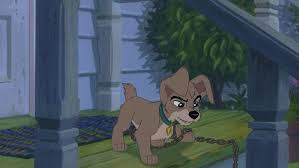 Az életük nem is különbözhetne jobban egymástól. Susi Es Tekergo 2 Csibesz A Csavargo Lady And The Tramp Ii Scamp S Adventure 2001 Mafab Hu