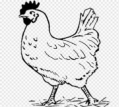 Ciri yang paling khas pada ayam sehingga dinamakan ayam bangkok hitam. Huhnchen Schwarz Und Weiss Huhnchen Tierfigur Tiere Kunst Png Pngwing