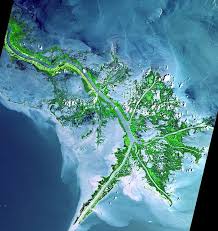 Estado donde nace el río misisipi. Rio Misisipi Informacion Y Caracteristicas