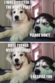 Pin By Colleen Pinger On Hilarious Funny Dog Jokes Funny Animal Jokes Funny Dog Memes