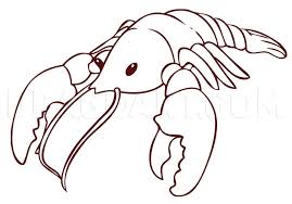 Jun 08, 2021 · summer weather has arrived, and new england tourists are hungry for a lobster roll or a whole cooked lobster — but they're going to have to pay up. How To Draw A Cartoon Lobster Step By Step Drawing Guide By Dawn Dragoart Com