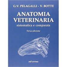 Maybe you would like to learn more about one of these? Pelagalli Anatomia Veterinaria Sistematica E Comparata