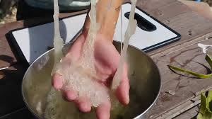 Aloe Vera Best lubricant. Phytophilia. Watch it glide on my face. Ear me  choke.