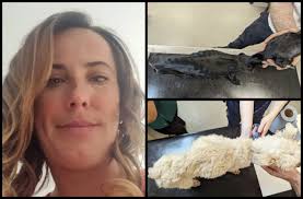 CONVICTED Adam Routledge, 36, currently of #Runcorn but with very strong  links to #Salford