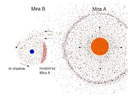 Resultado de imagem para mira star