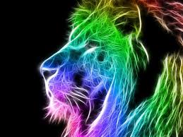 The great collection of neon animal wallpapers for desktop, laptop and mobiles. Neon Animals Wallpapers Top Free Neon Animals Backgrounds Wallpaperaccess