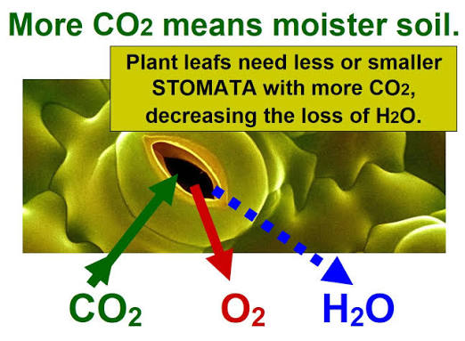 More CO2 means a healthier planet Earth.